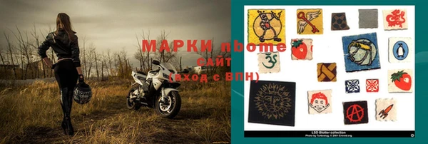 шишки Белоозёрский
