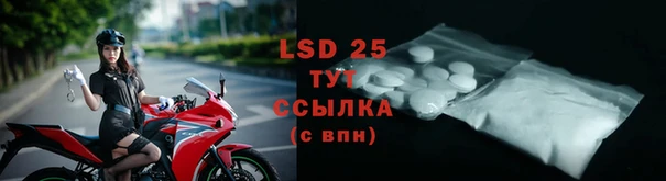шишки Белоозёрский