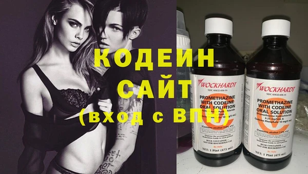 шишки Белоозёрский