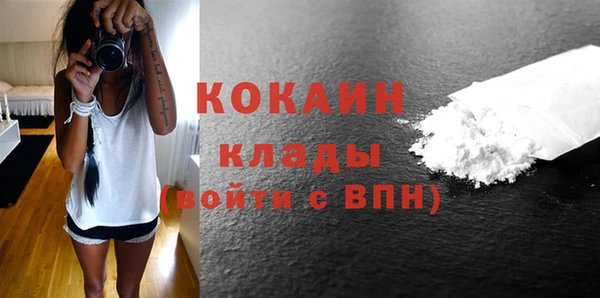 шишки Белоозёрский