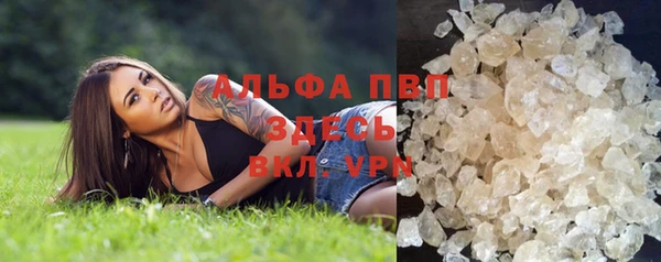 шишки Белоозёрский
