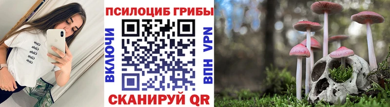 кракен онион  Волоколамск  Псилоцибиновые грибы Psilocybine cubensis  купить наркотики сайты 