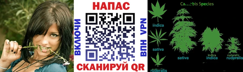 гидра ССЫЛКА  Волоколамск  МАРИХУАНА индика 